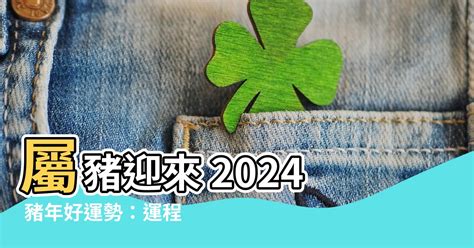 2024豬年運程1959|生肖豬: 性格，愛情，生肖1995，2007，2019